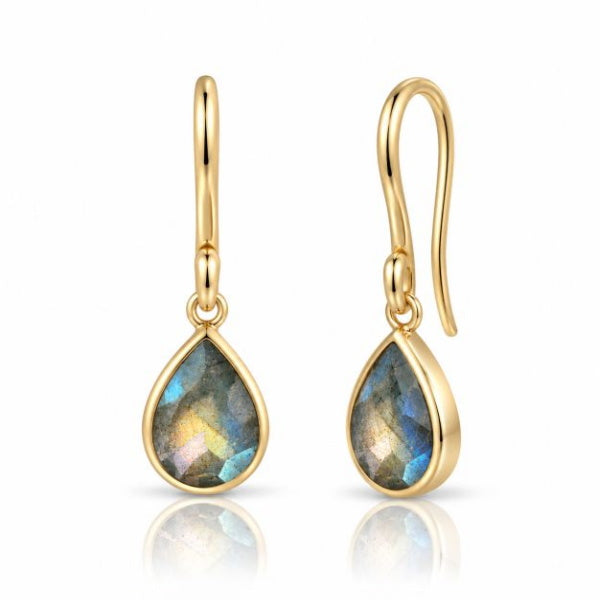 Gouden oorhangers met druppelvormige facet geslepen edelstenen - 14 karaat - 7 x 5 mm · Labradoriet · productfoto · steen:labradoriet