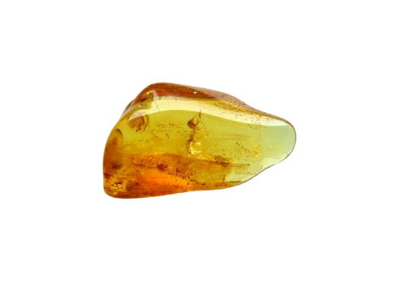 Het prachtige uiterlijk van de Barnsteen