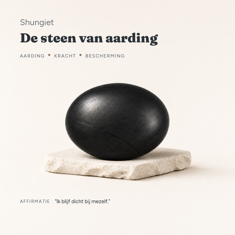 Shungiet · de steen van aarding · steen:shungiet